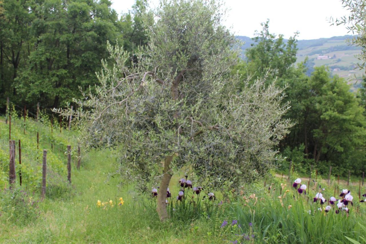 Agriturismo La Rovere Cossano Belbo Buitenkant foto